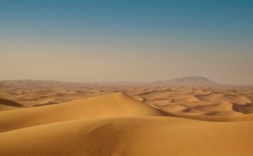 Ile kosztuje gram złota w Dubaju?