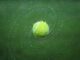Czy tenis ziemny jest popularny?