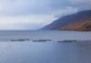 Ile torebek herbaty na litr wody?